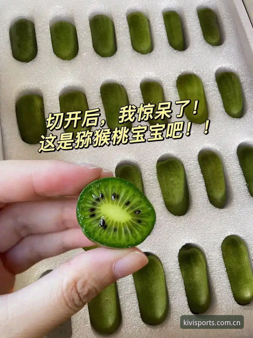 奇异果体育登录不上哪个好 奇异果体育登录不上怎么办?多种解决方式对比分析