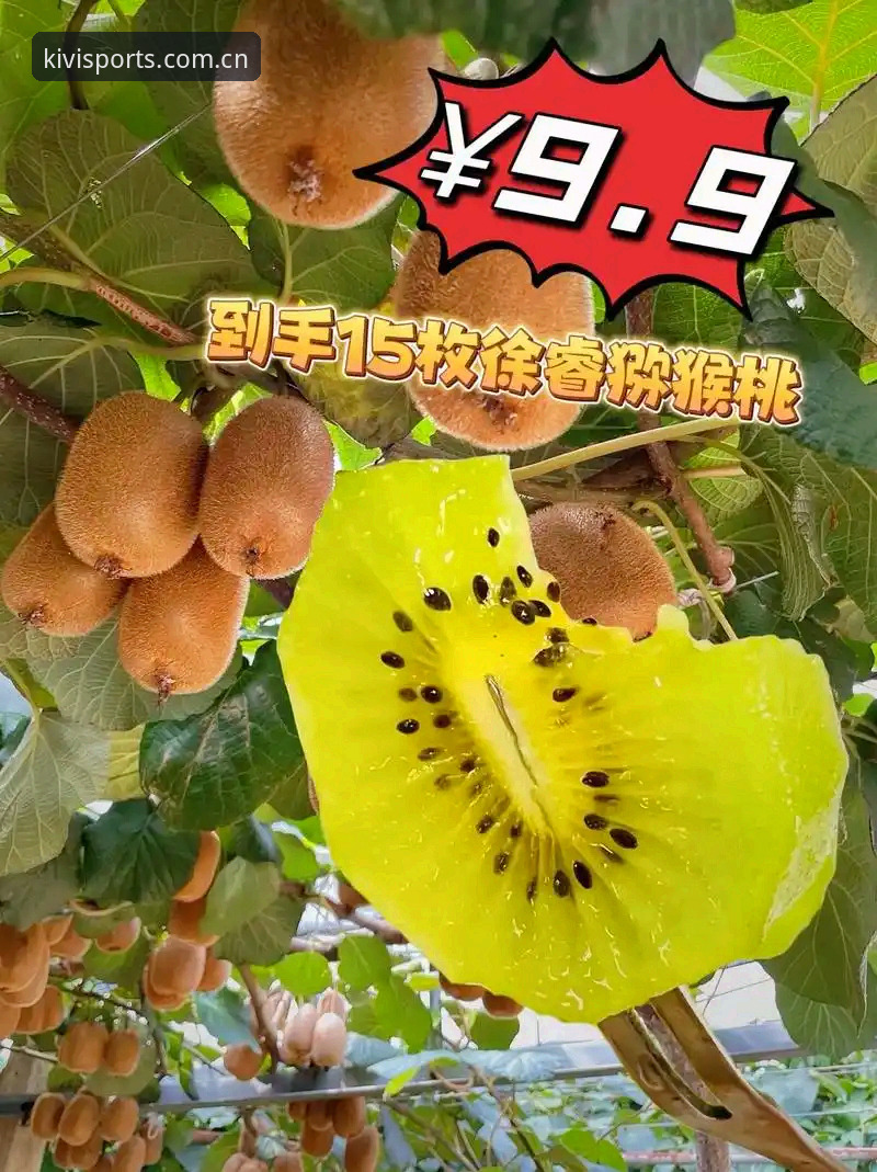 奇异果体育直播 奇异果体育直播平台深度评测:从赛事覆盖到用户体验的全方位数据解析