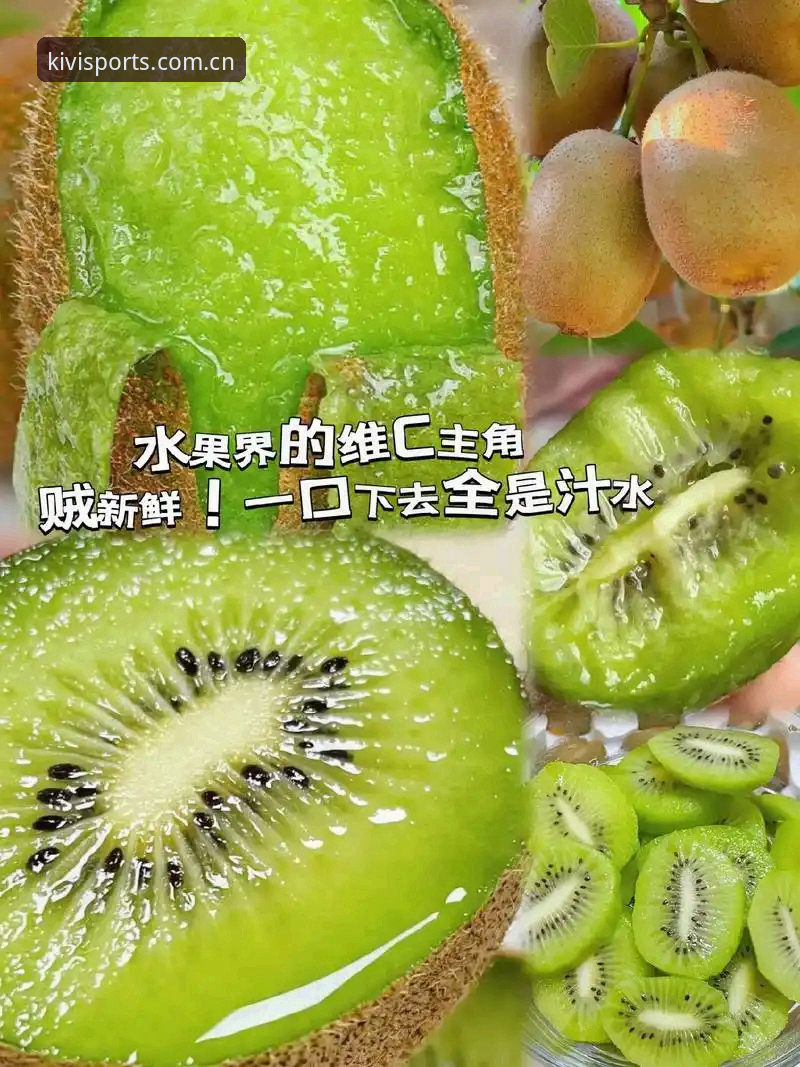 奇异果体育登录不上哪个好 奇异果体育登录不上怎么办?多种解决方式对比分析